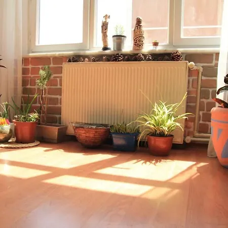 Sunny Stylish Aircontioned On Seaside Of Moda Apartment *